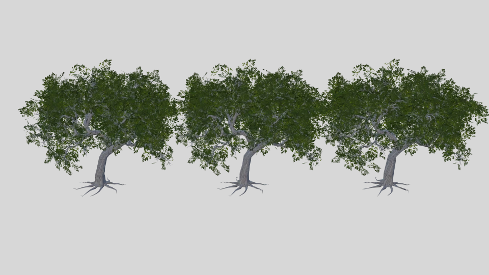 Vegetation Reduction inline image