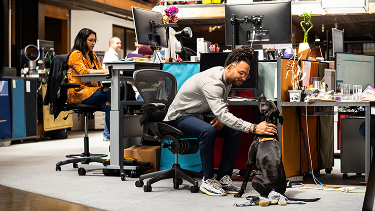 Photo of open workspace with person petting dog